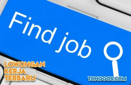 Lowongan Kerja Toli Toli Agustus 2021 Terbaru Minggu Ini
