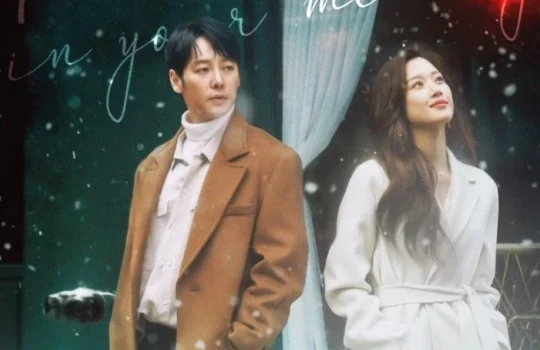 Drama Korea Find Me in Your Memory Subtitle Indonesia Episode 1 – 32