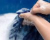 Cara Mencuci Baju agar Bersih, Tidak Merusak Warna dan Serat Kain