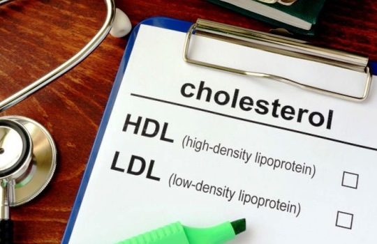 Cara Menurunkan Kolesterol secara Alami yang Ampuh dan Mudah Dilakukan