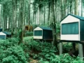 Bobocabin Baturraden: Menyatu dengan Alam dalam Kemewahan Glamping Terbaik di Jawa Tengah