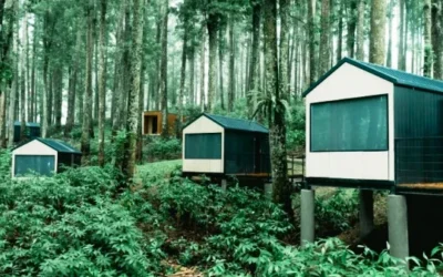 Bobocabin Baturraden: Menyatu dengan Alam dalam Kemewahan Glamping Terbaik di Jawa Tengah