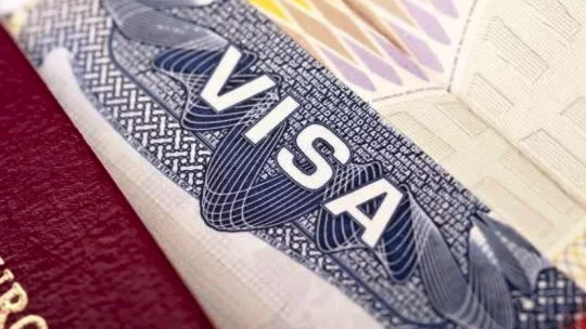 Rekomendasi Fabio Visa Agency untuk Jasa Pengurusan Visa Indonesia yang Cepat dan Mudah