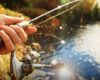 Persiapan Sebelum Memancing yang Perlu Kamu Perhatikan