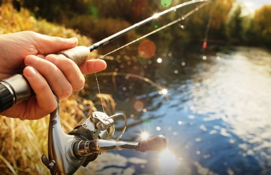 Persiapan Sebelum Memancing yang Perlu Kamu Perhatikan