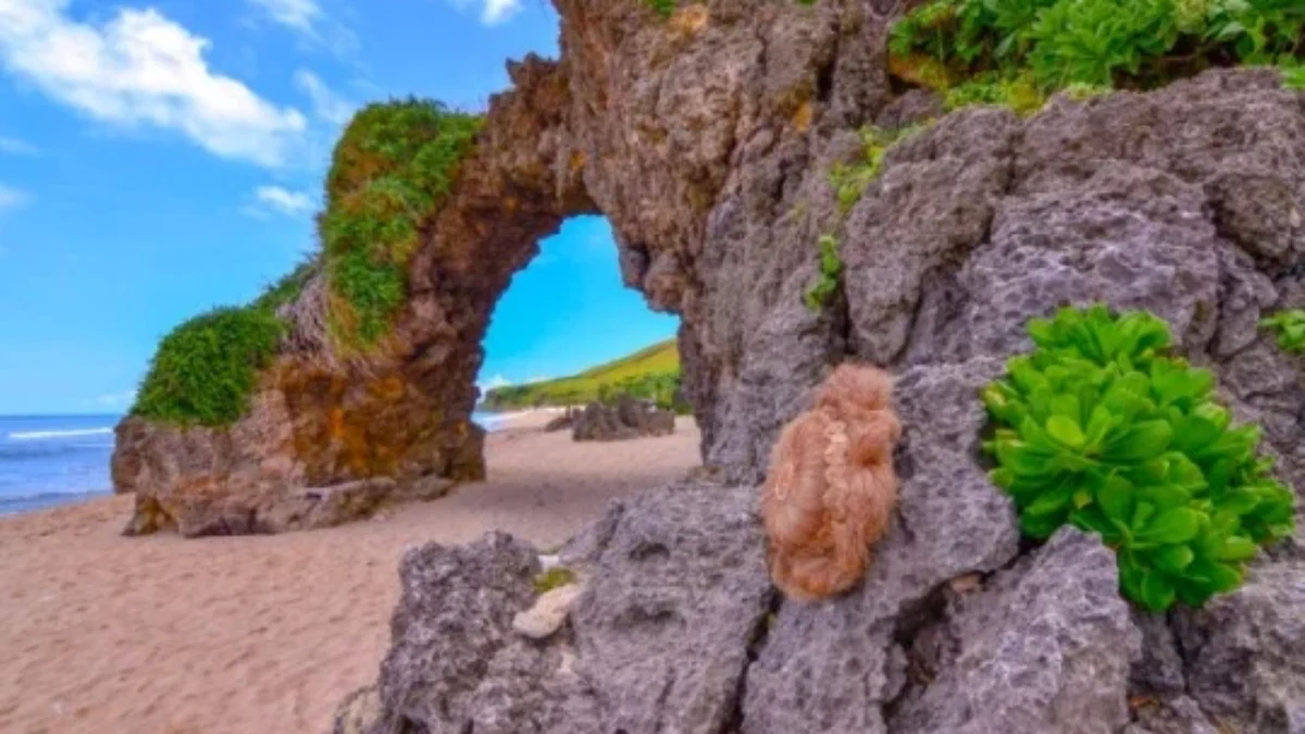 10 Tips Wisata ke Pulau Batanes, Surga Tersembunyi di Filipina