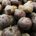 Berbagai jenis makanan peningkat hemoglobin darah seperti daging, sayuran hijau, dan buah segar