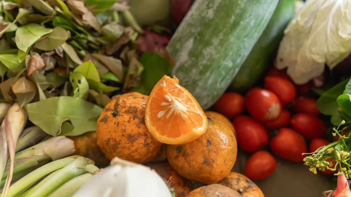Makanan Tinggi Serat Harian Paling Bagus Buat Pencernaan Sehat