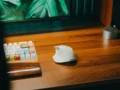 Cara Memilih Mouse Fungsional yang Nyaman untuk Kerja